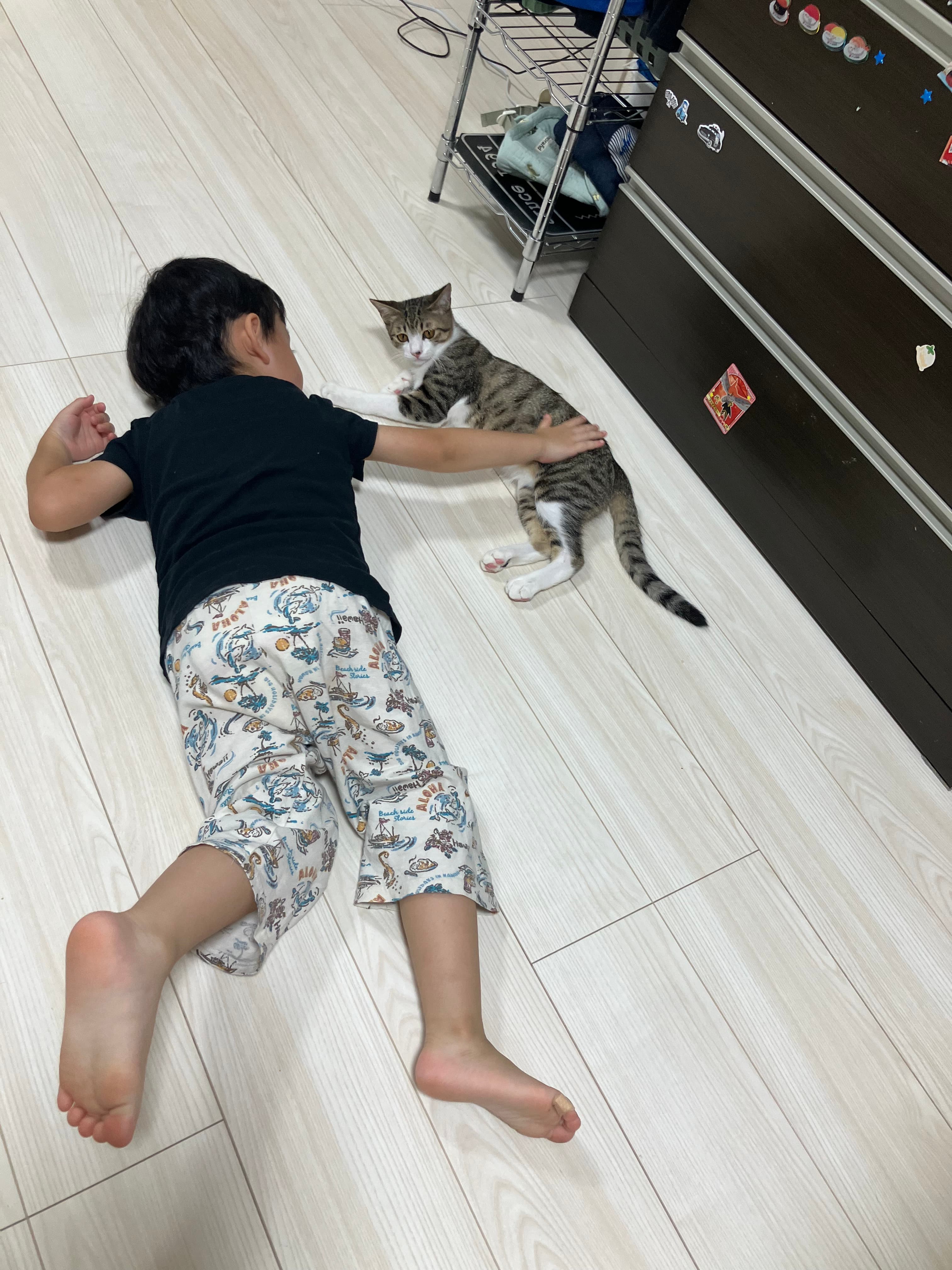 キジ君と息子