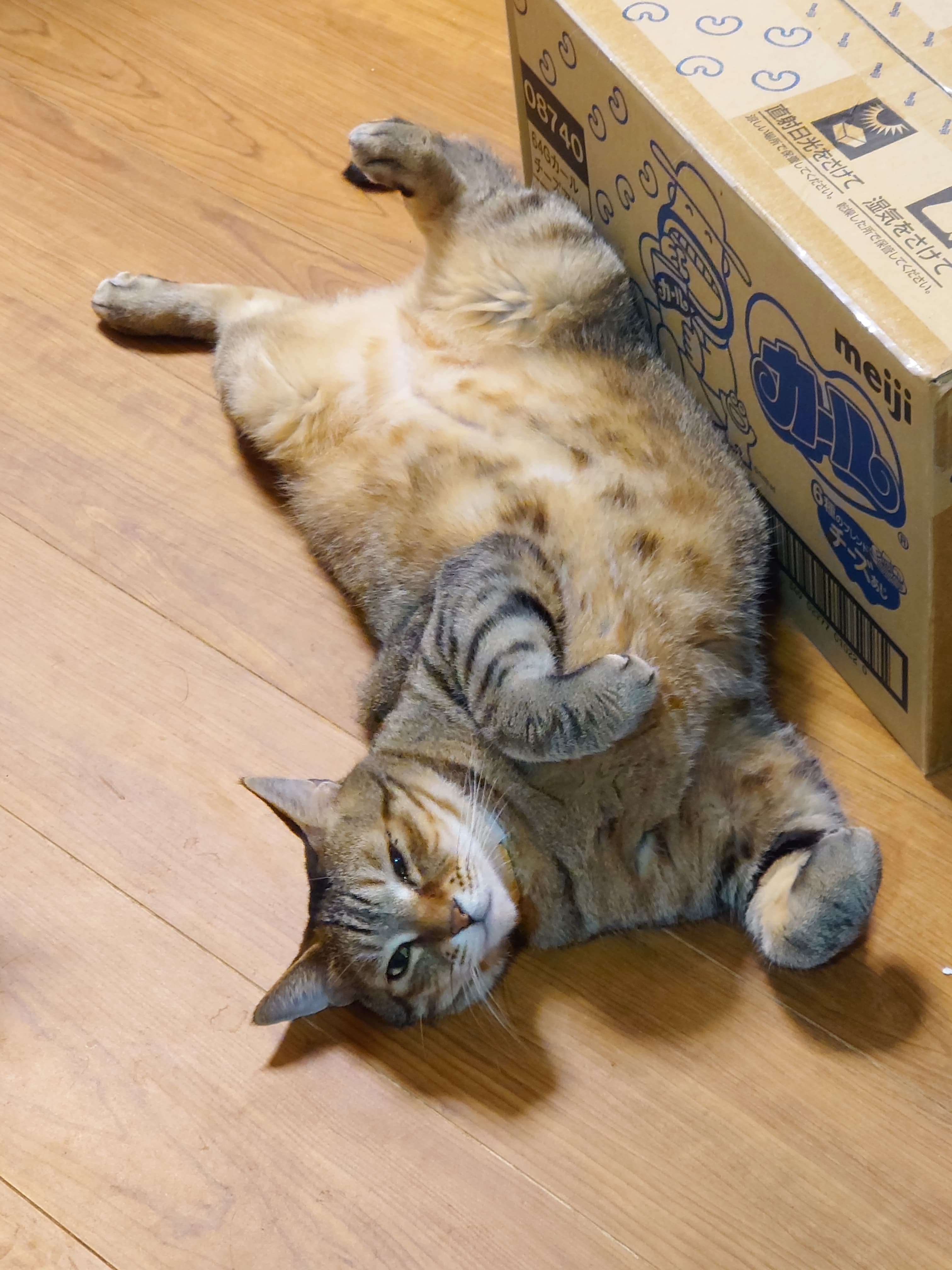 暑い