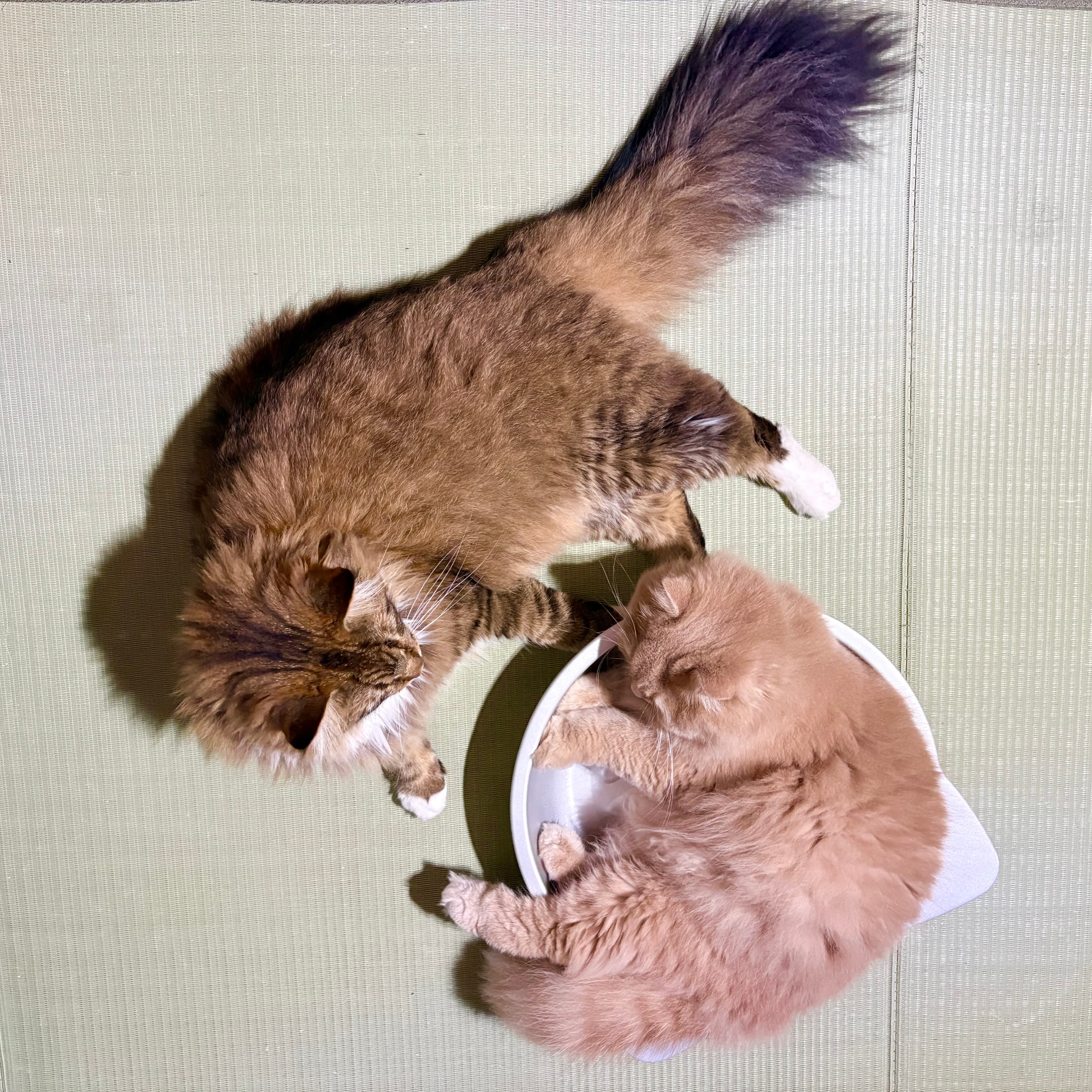 仲良しタイム