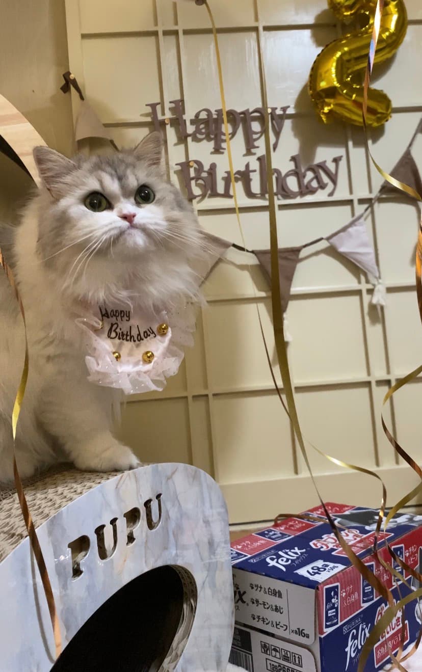 お誕生日おめでとう🎂💐