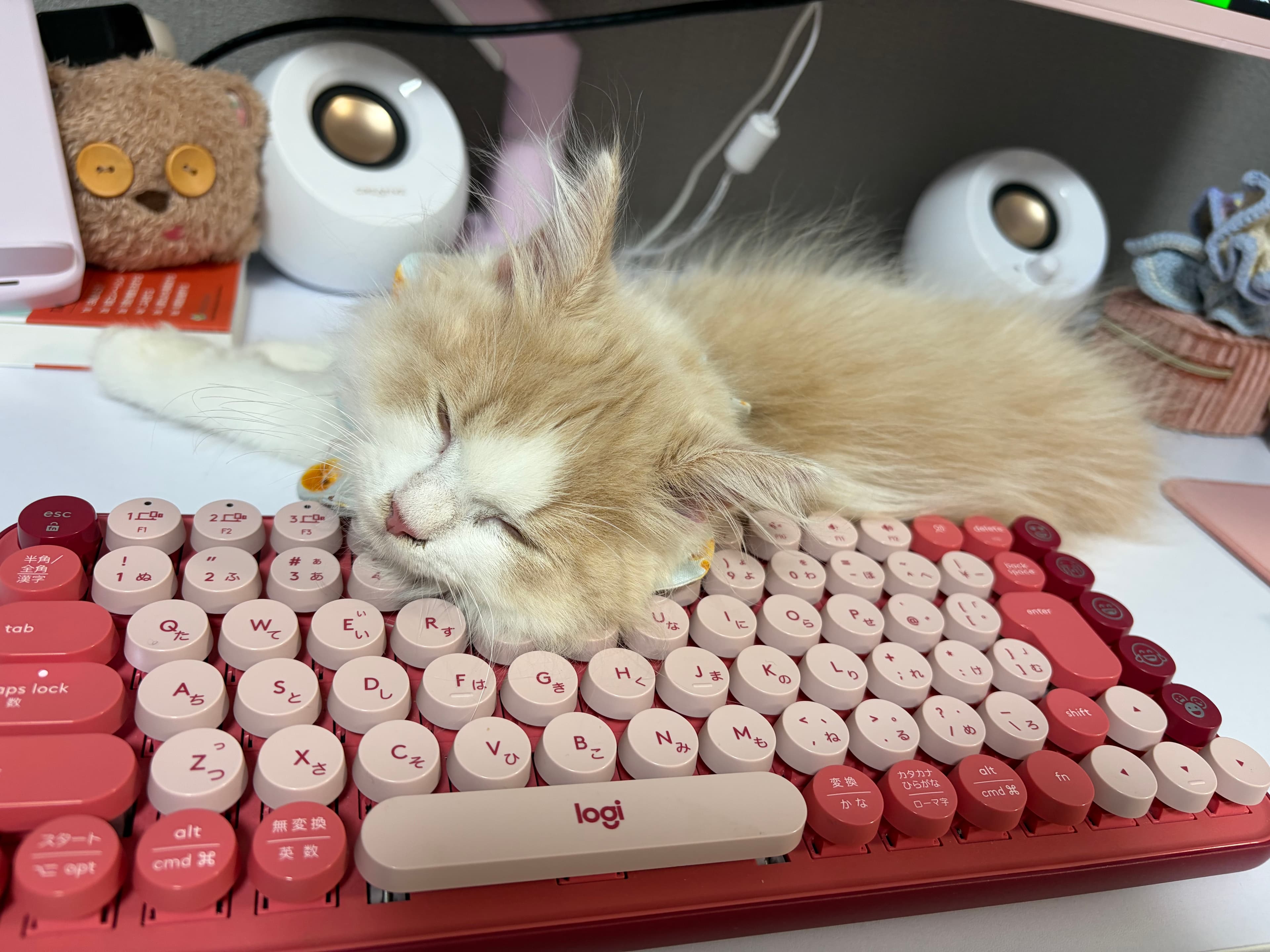 デスクでゆったり