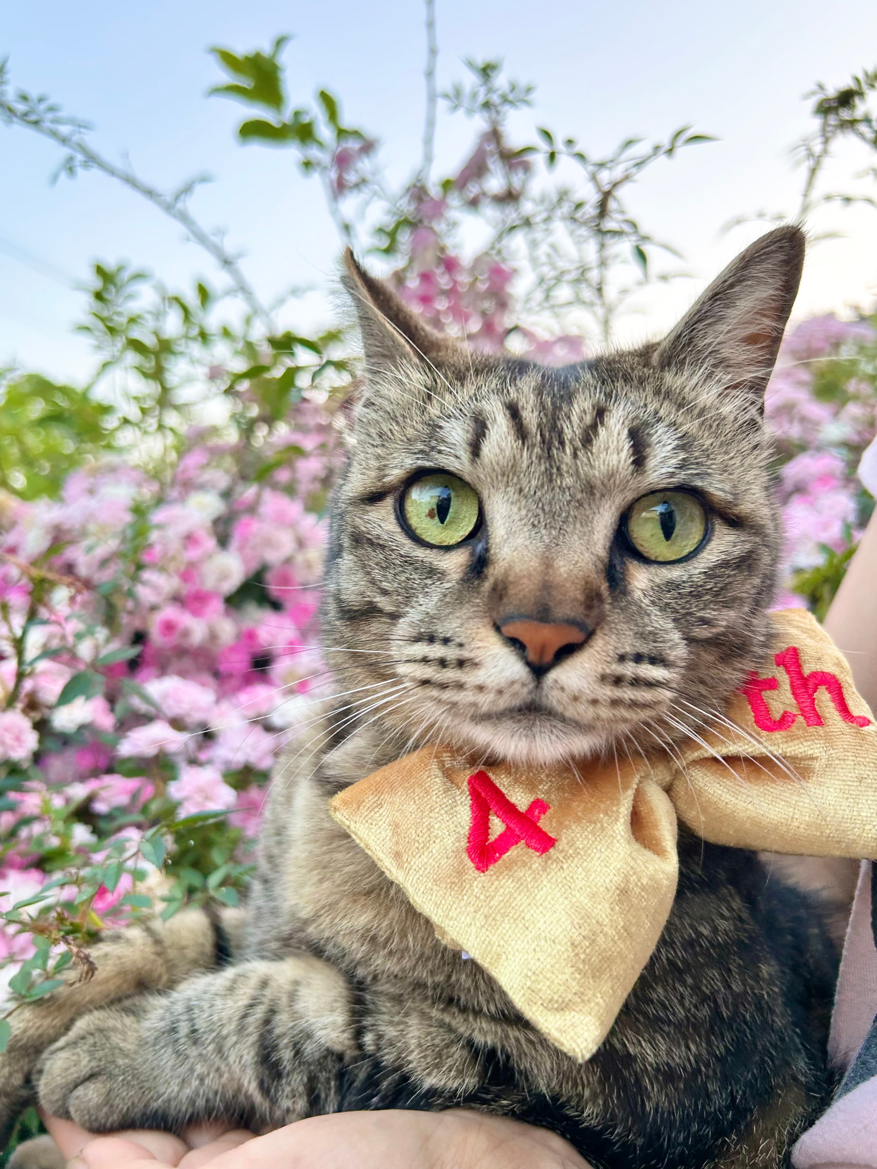 4さいになりました!